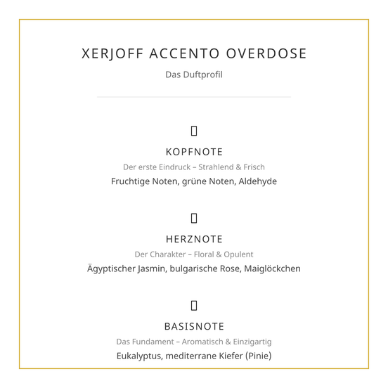 Xerjoff Accento Overdose Eau de Parfum 100ml